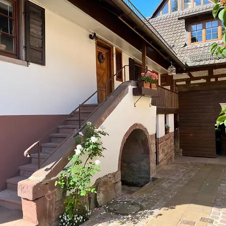 Am Schlossgarten Daire Schmieheim